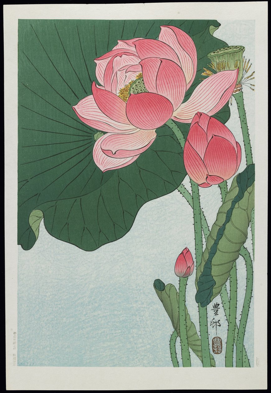 Lotus, 1930-tal av Ohara Koson