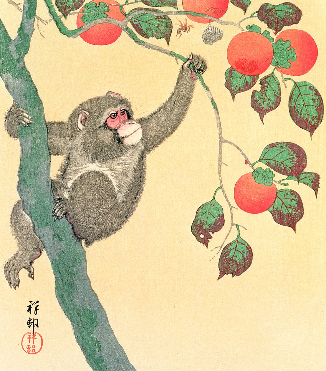 Apan i ett persimonträd, 1935 (färgtryck) av Ohara Koson