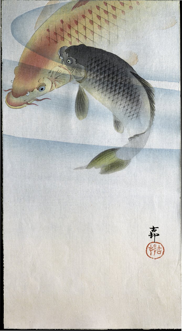 Två karpar i en flod, 1907 av Ohara Koson