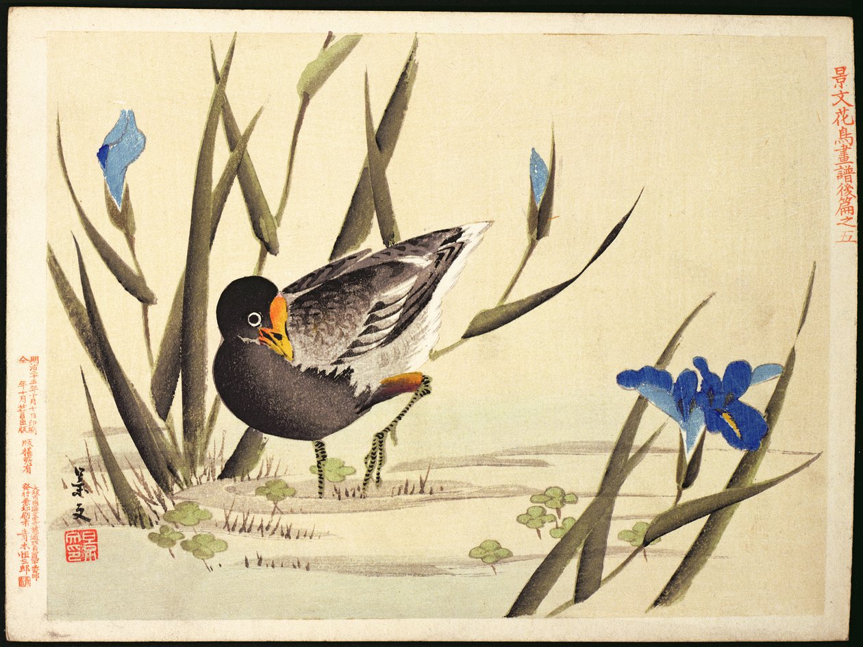 Vadare bland buskar, (trätryck i färg) av Ohara Koson