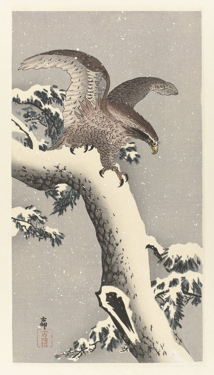 Örn på snöig tall av Ohara Koson
