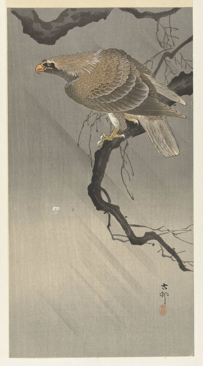 örn på gren av Ohara Koson