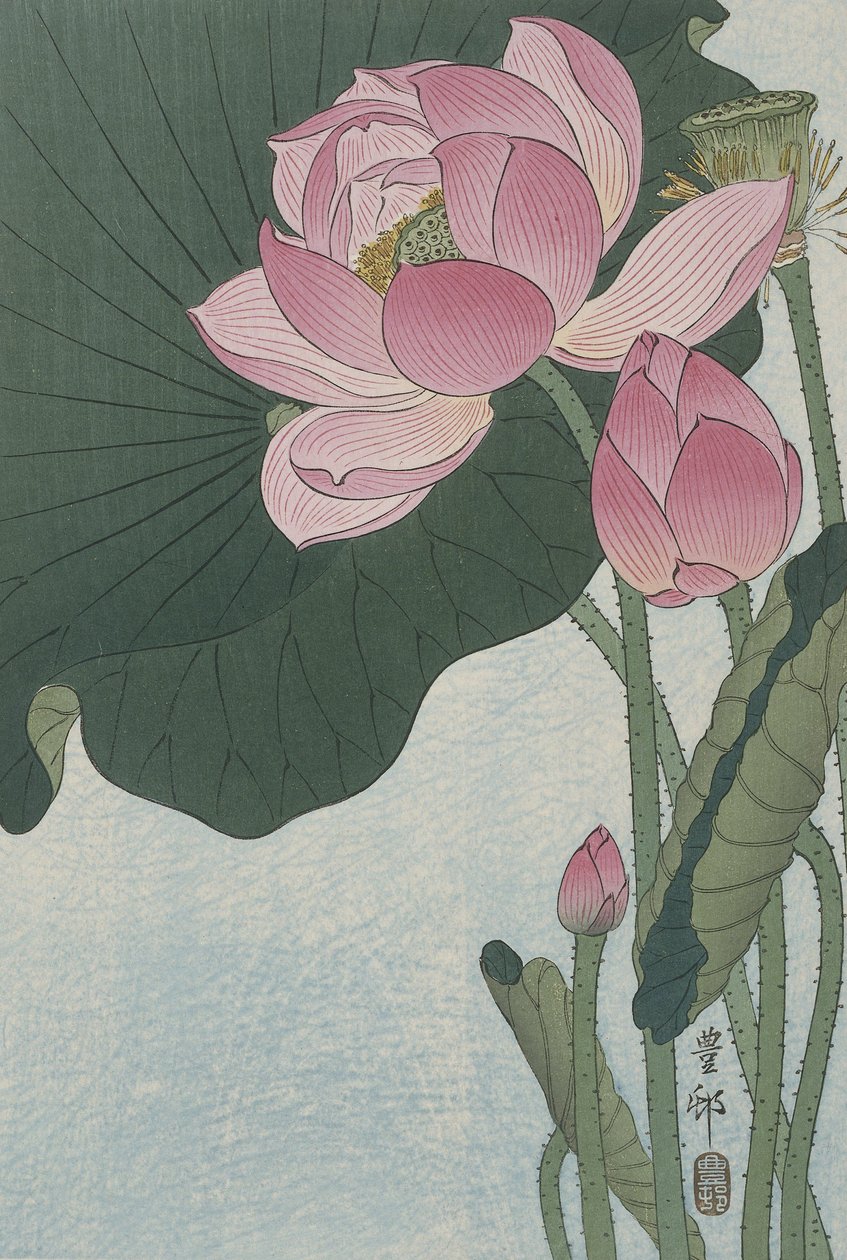 Blommande lotusblommor, 1920-30 (träsnitt i färg) av Ohara Koson