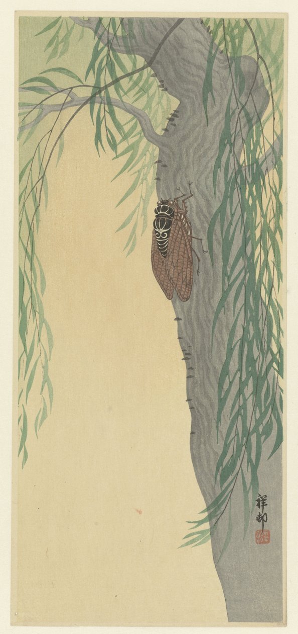 スウェーデンの木の蝉 av Ohara Koson