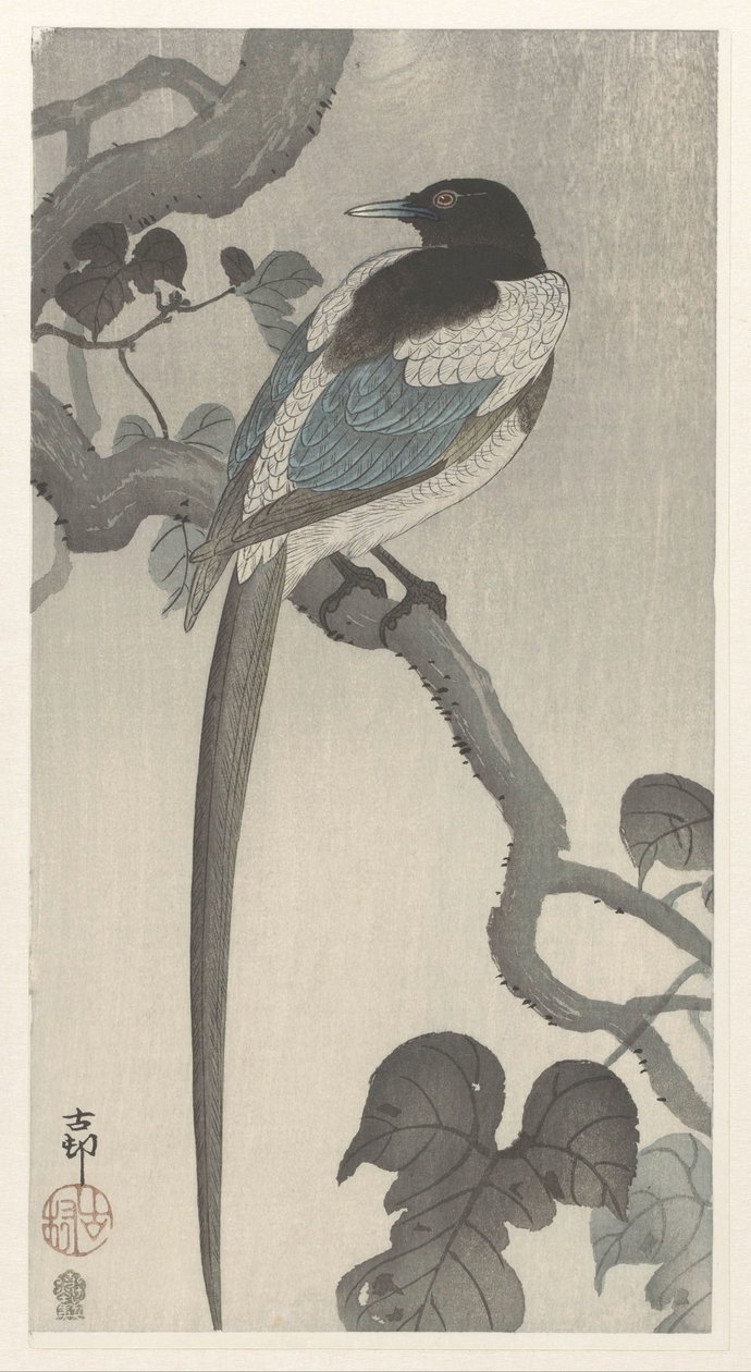 Skata på trädgren av Ohara Koson