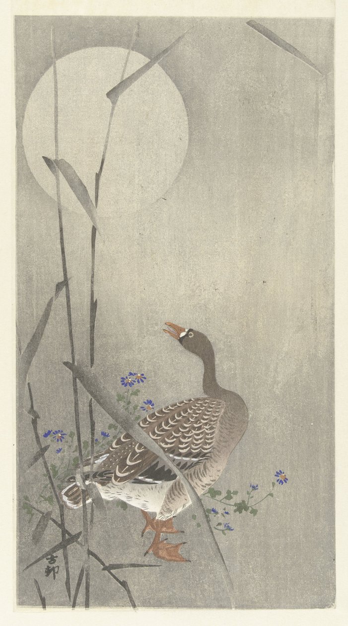 Gås vid fullmåne av Ohara Koson