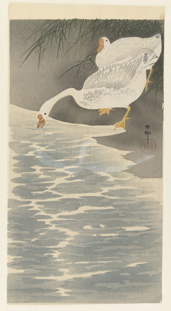 Gäss på stranden av Ohara Koson