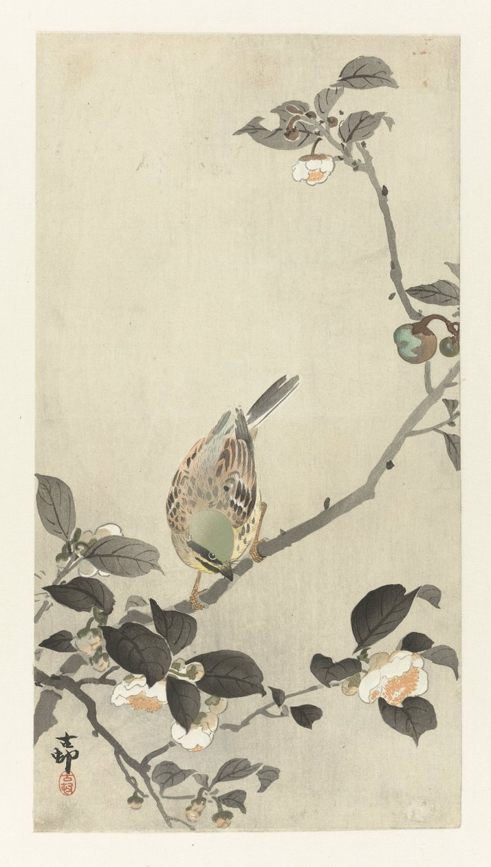 Bunting på blomgren av Ohara Koson