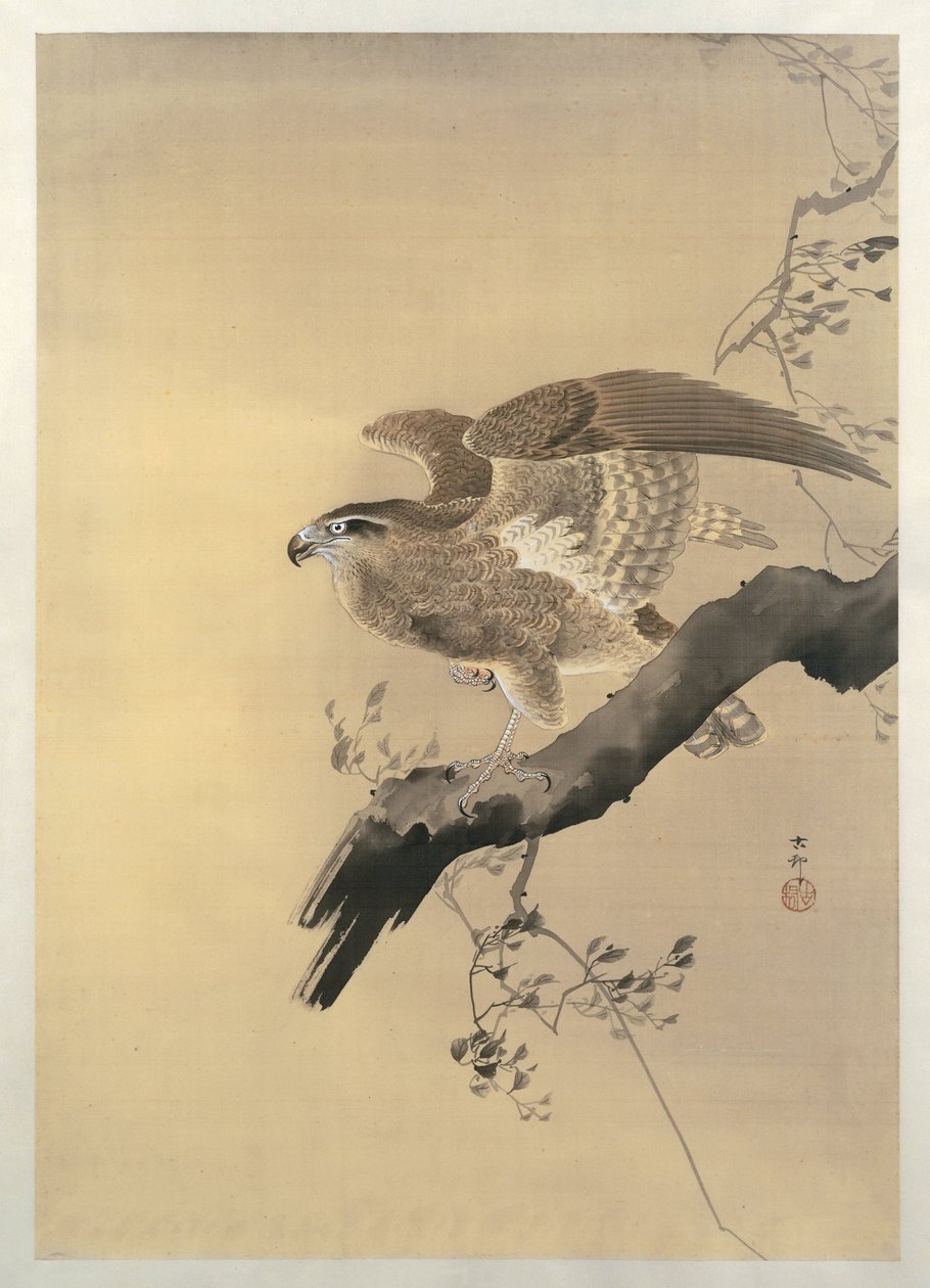 Hök av Ohara Koson