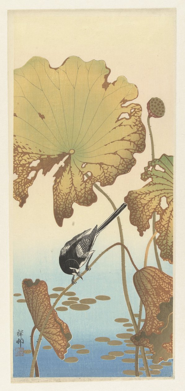 Japansk vippsvans på lotusväxt av Ohara Koson