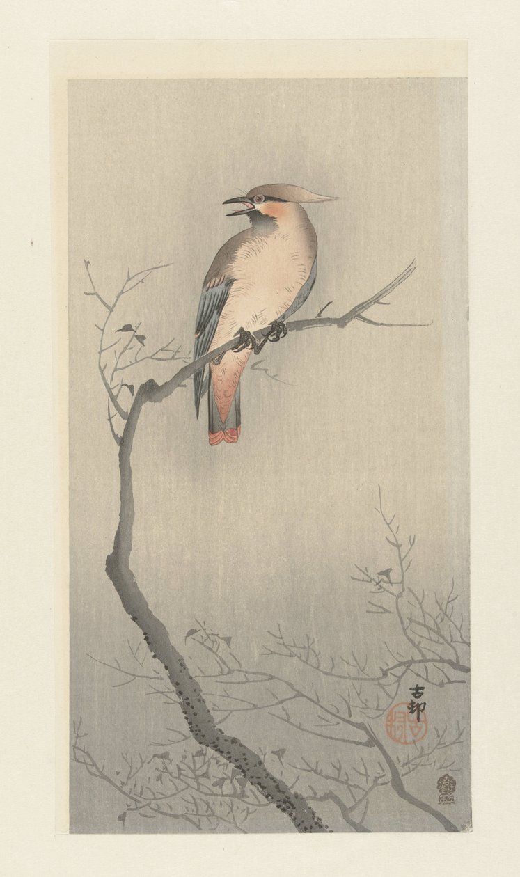 Japansk vaxvinge på gren av Ohara Koson