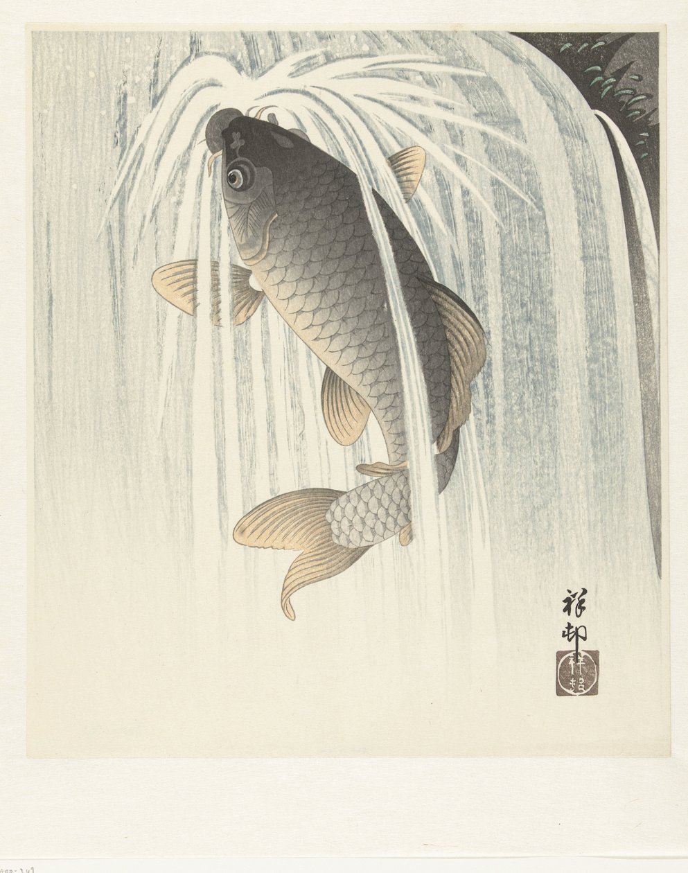 Karp av Ohara Koson