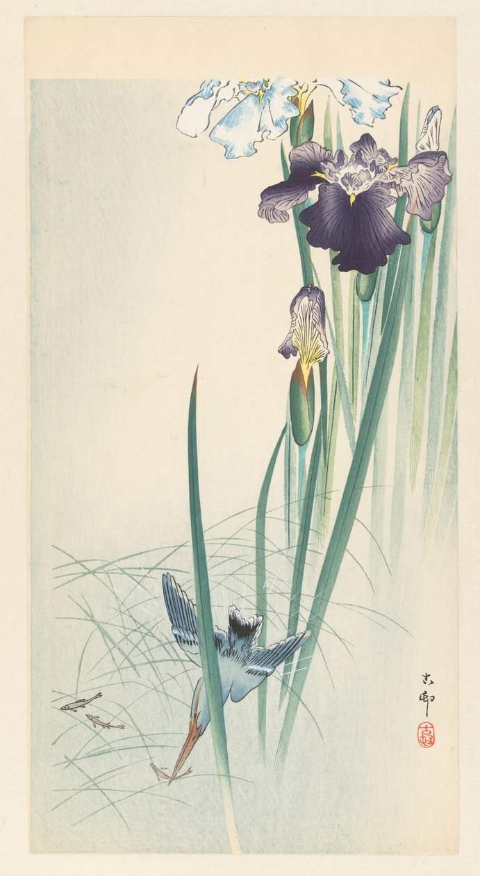 Kingfisher och Iris av Ohara Koson