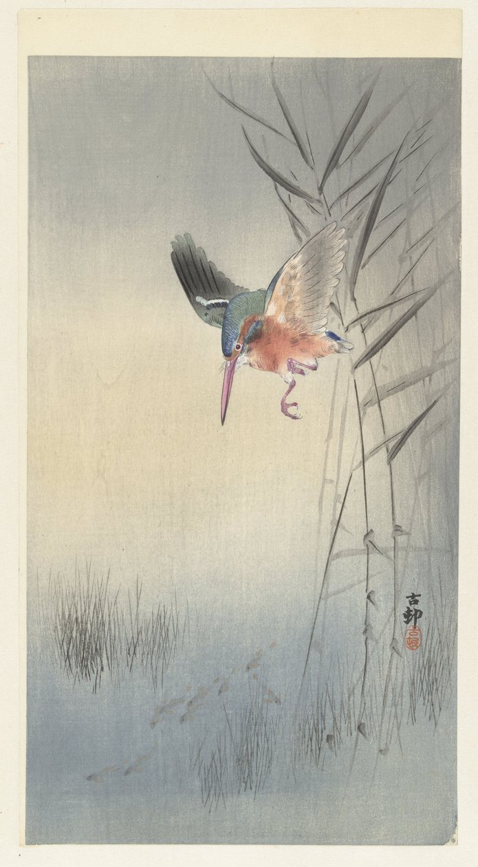 Kungsfiskare på jakt efter fisk (färgträsnitt) av Ohara Koson
