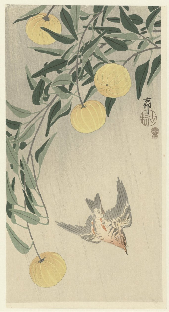 Gök i regnet av Ohara Koson