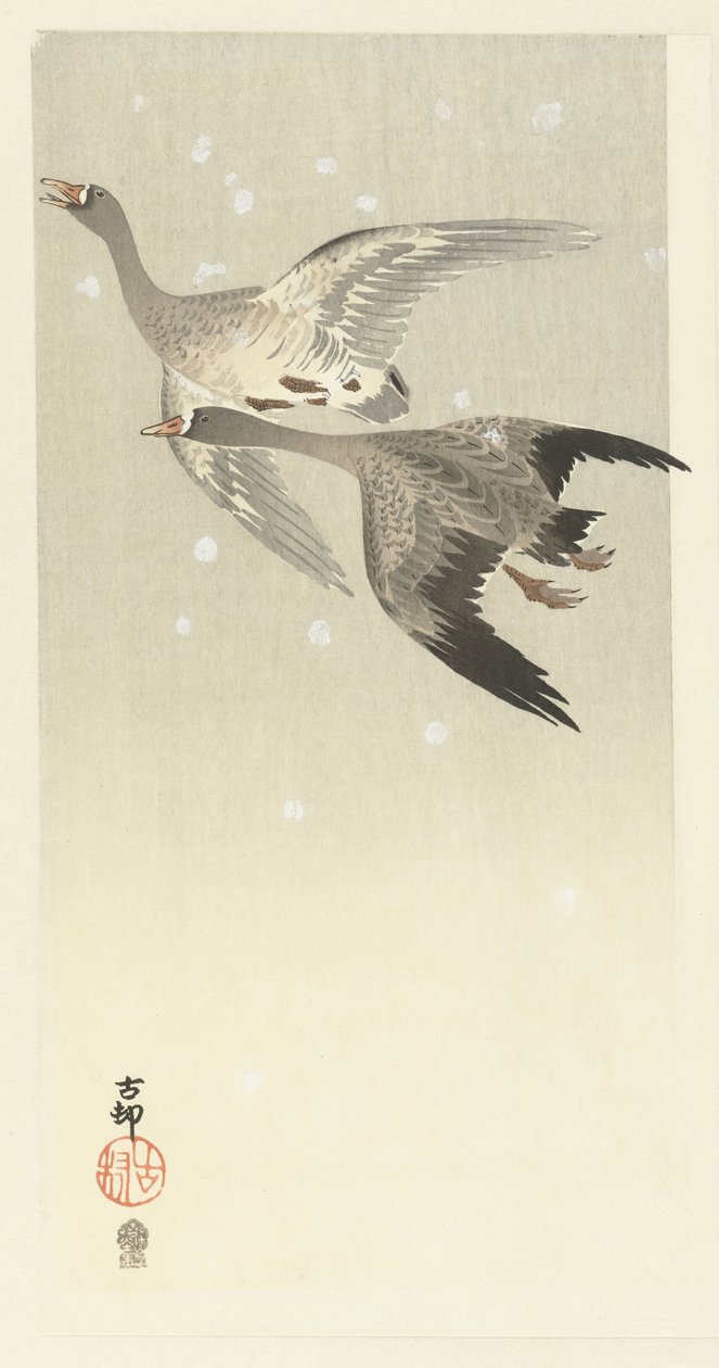 Vitgåss flyger i snön av Ohara Koson