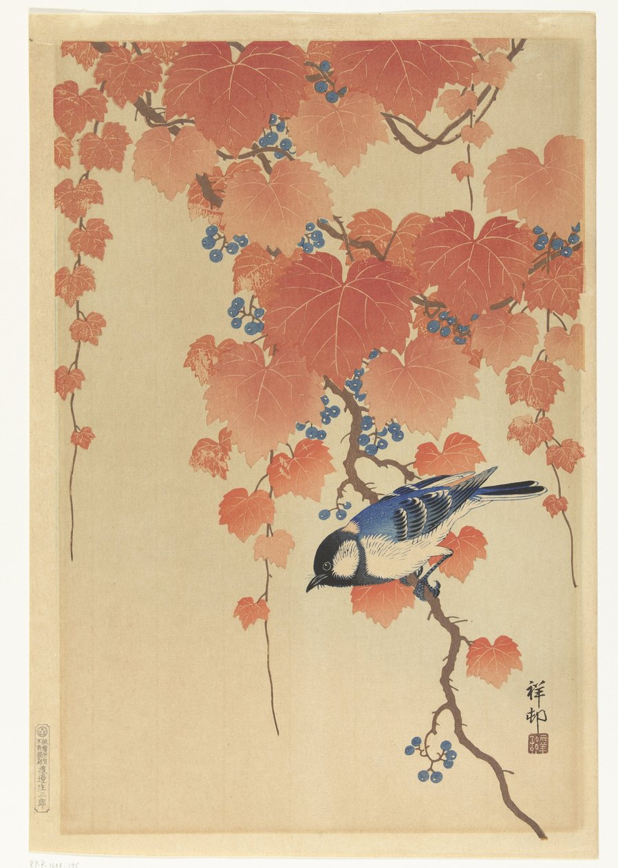 Talgoxe på paulownia gren av Ohara Koson