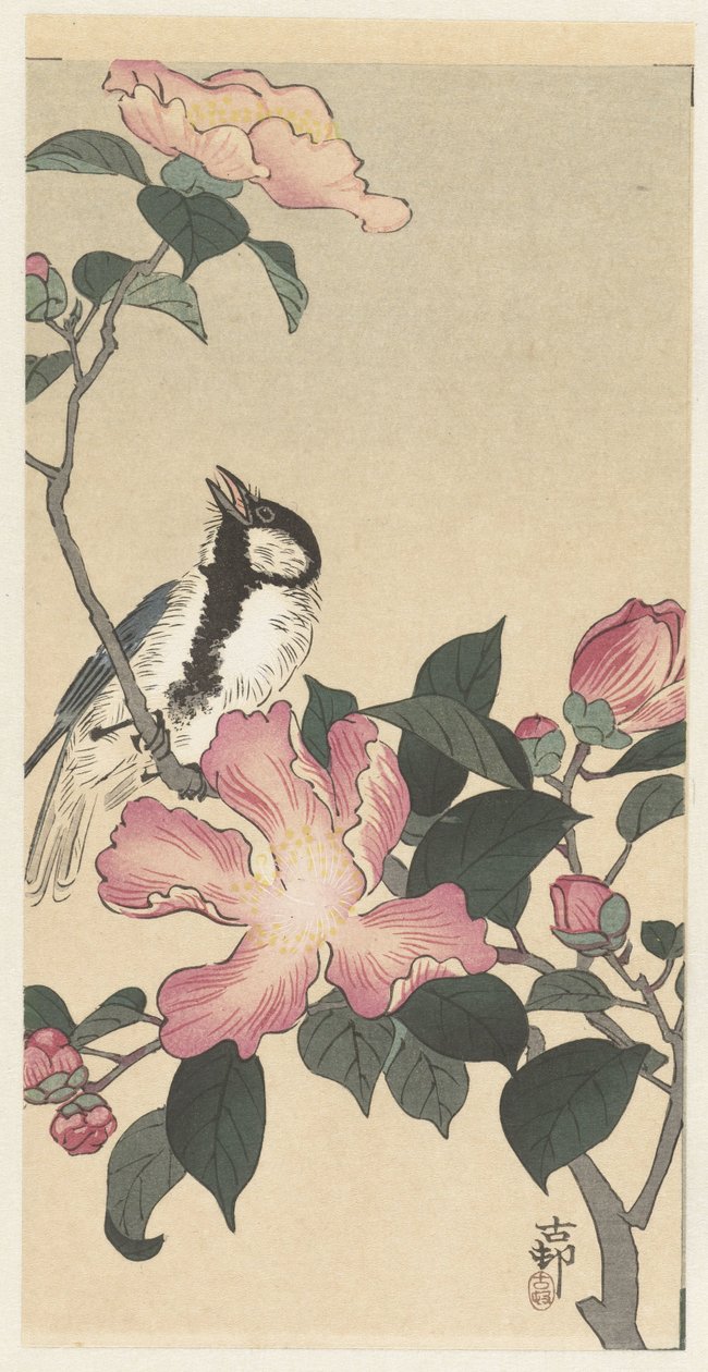 Talgoxe på gren med rosa blommor av Ohara Koson
