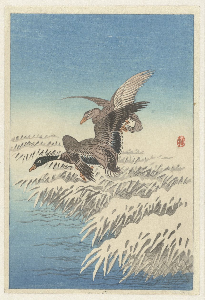 Ett par ankor som flyger ovanför snöig vasskrage av Ohara Koson