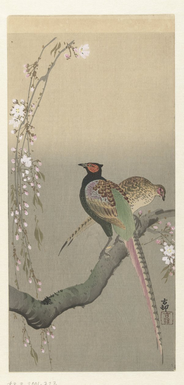 Ett par fasaner och körsbärsblommor av Ohara Koson
