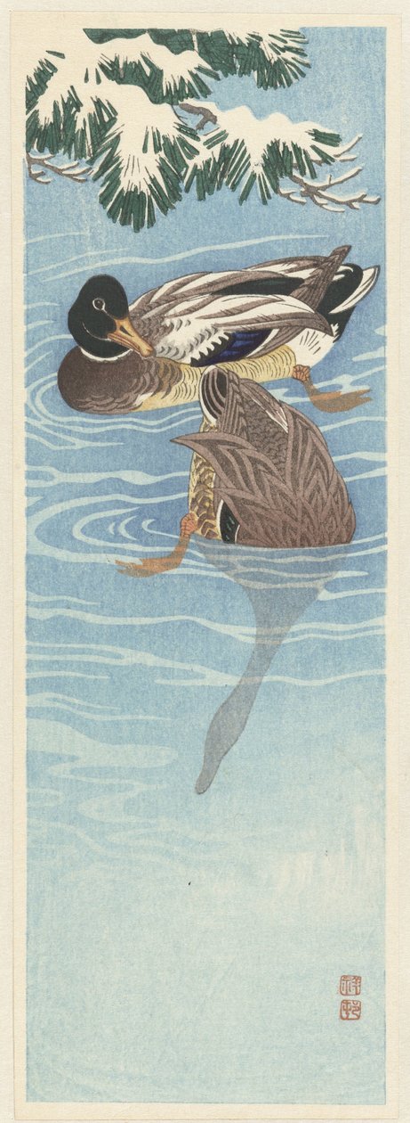 Flock gräsänder i vattnet av Ohara Koson