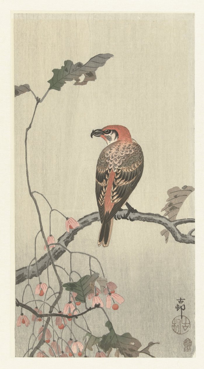 Korsnäbb på trädgren av Ohara Koson