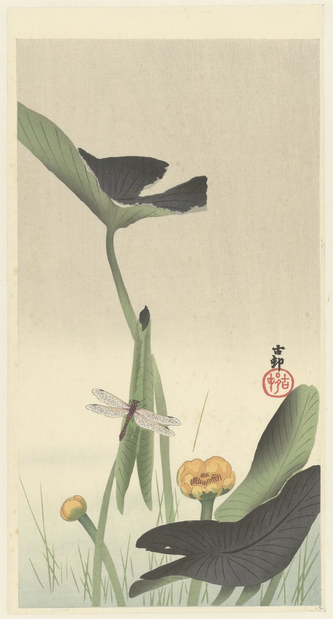 Lotus förtal av Ohara Koson
