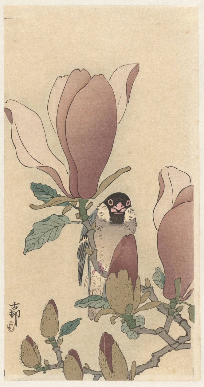 Sparv på blommande magnolia gren av Ohara Koson