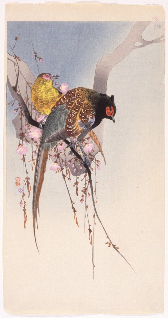 Fasaner och hängande körsbär (trätryck i färg) av Ohara Koson