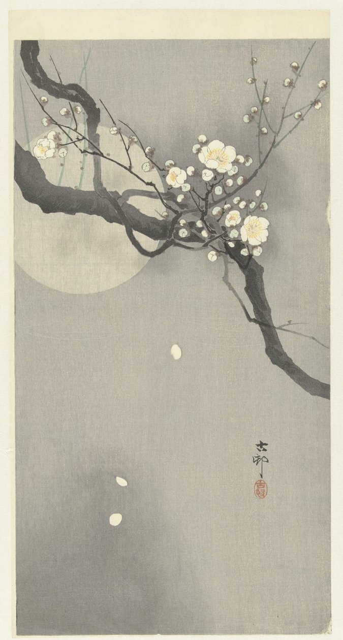 Plommonblomning och fullmåne av Ohara Koson
