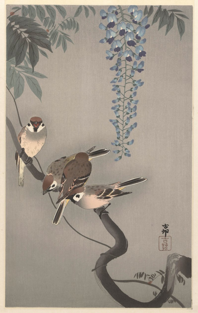 Ringsparvar vid blåregn av Ohara Koson