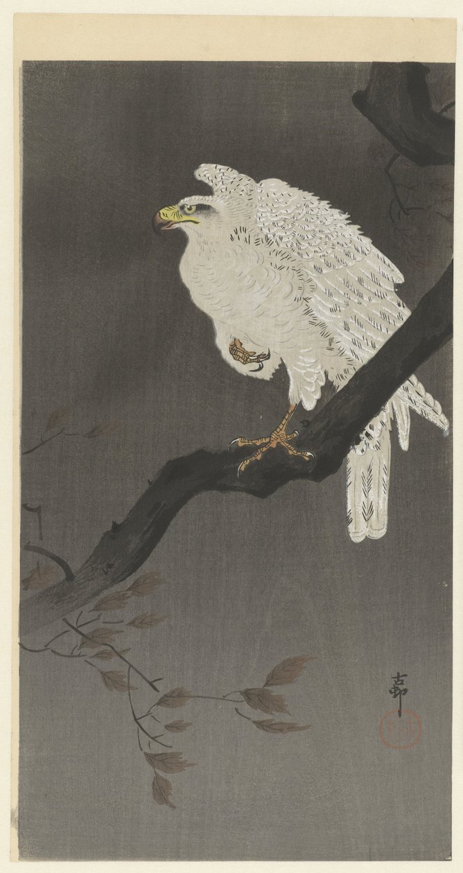 Snöörn på en gren av Ohara Koson