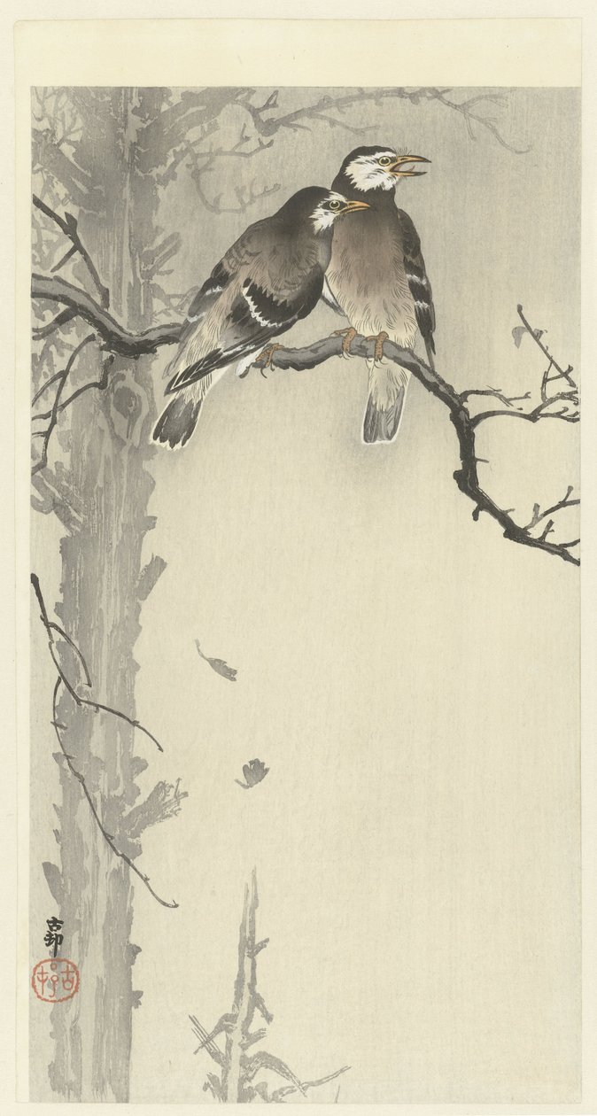Två grå starar av Ohara Koson