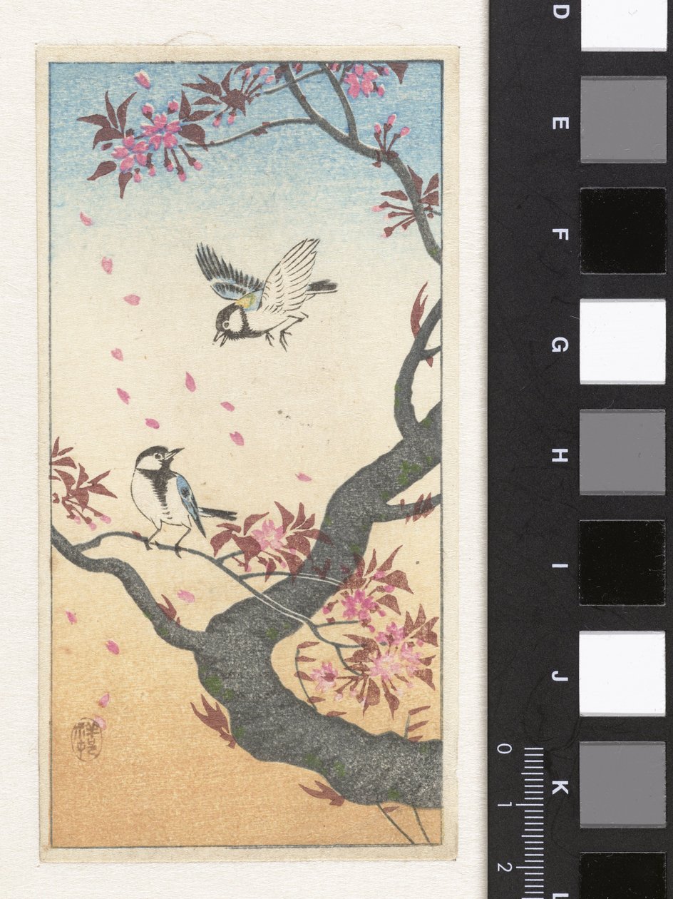 Två talgoxar vid ett blommande träd av Ohara Koson