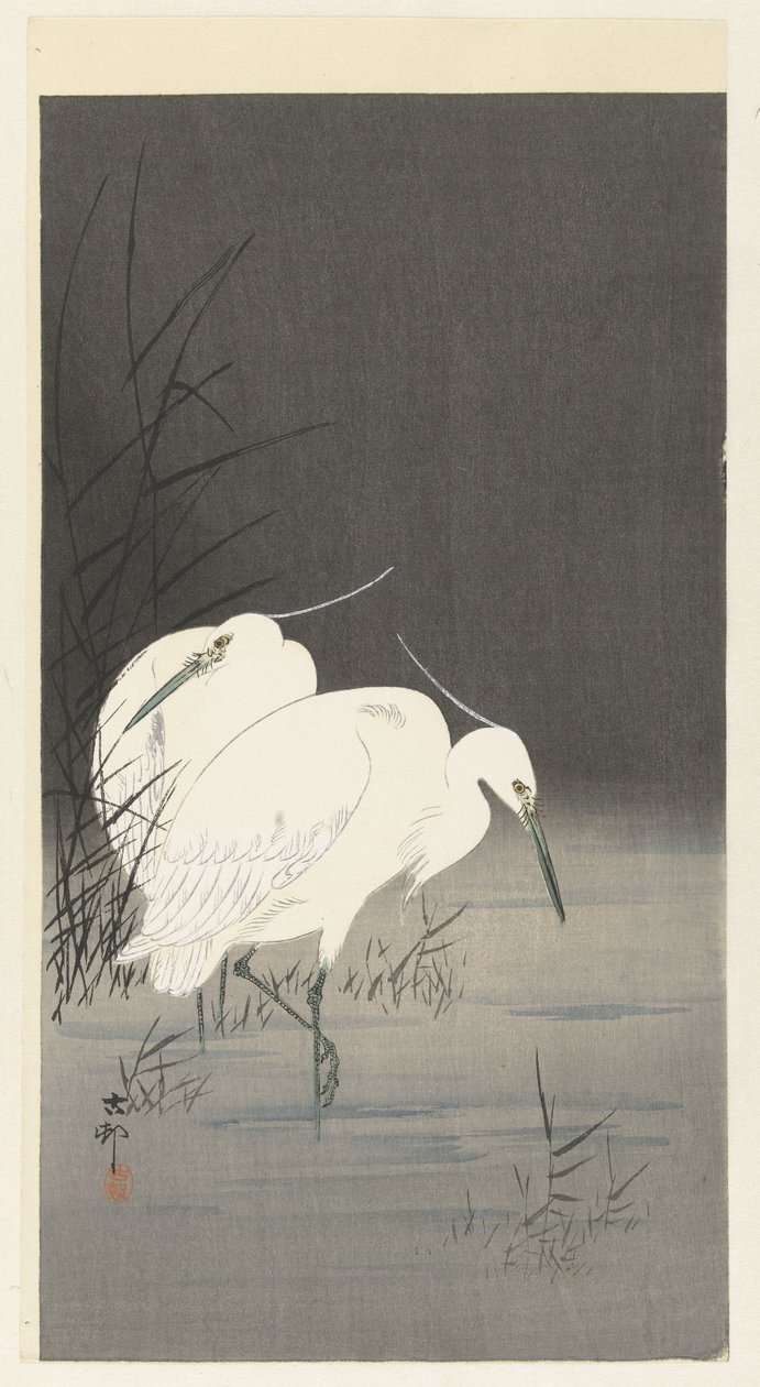 Två hägrar i vassen av Ohara Koson
