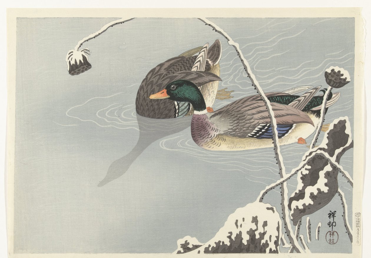 Två gräsänder nära en snötäckt lotusblomma av Ohara Koson
