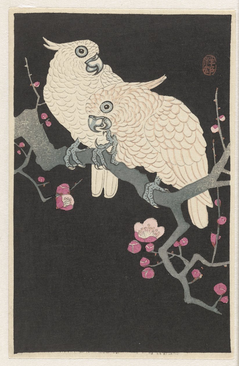 Två kakaduor och plommonblomning av Ohara Koson