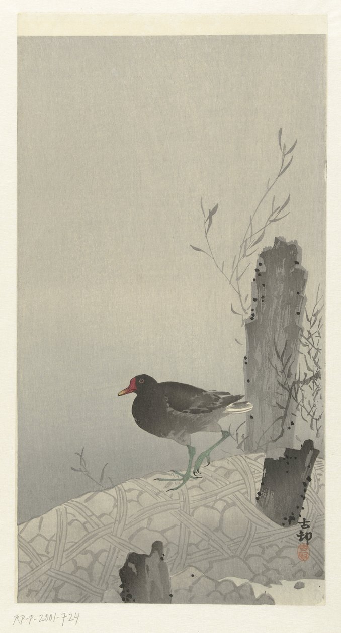 Waterhoen av Ohara Koson