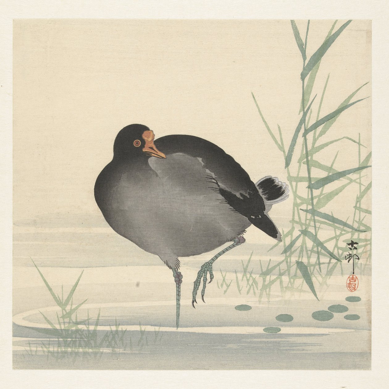 Waterhoen av Ohara Koson