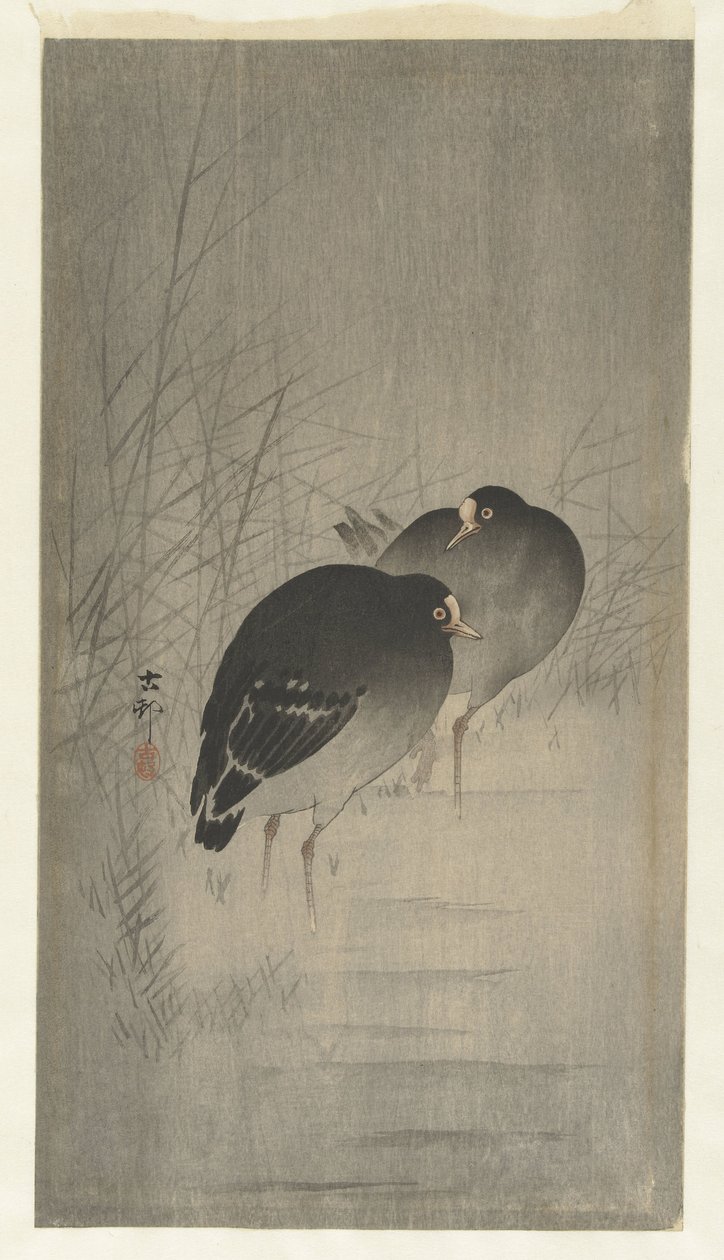 Morhöns mellan vass av Ohara Koson