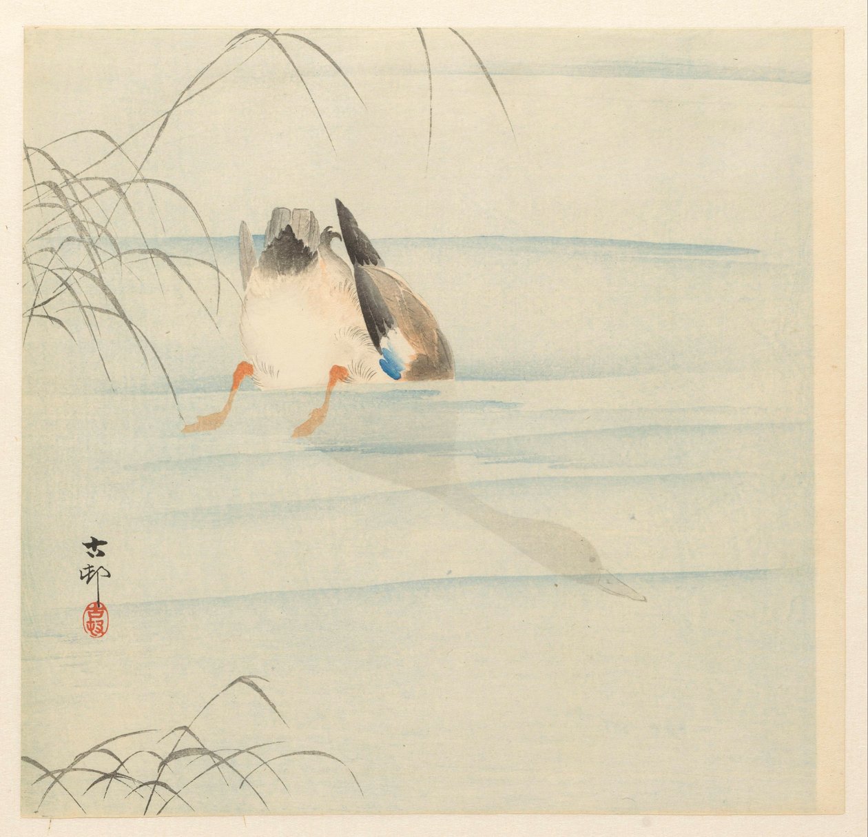 Gräsand, huvudet under vattnet av Ohara Koson