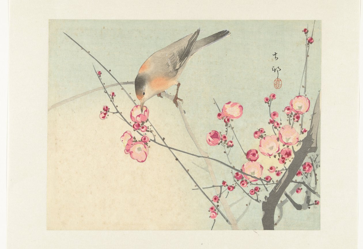 Sångfågel på blomgren av Ohara Koson