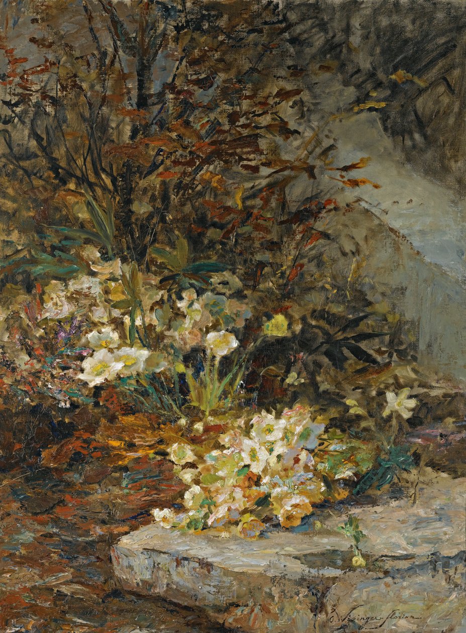 Hellebor av Olga Wisinger Florian