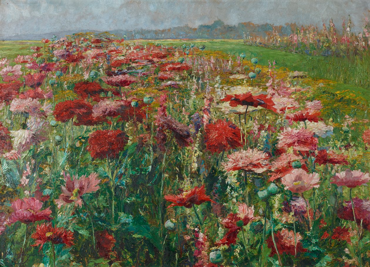 Blommande vallmo av Olga Wisinger Florian