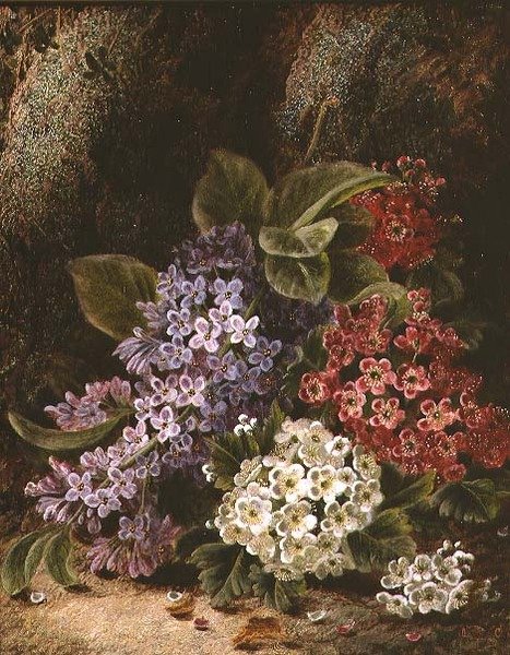 Stilleben med blomma av Oliver Clare