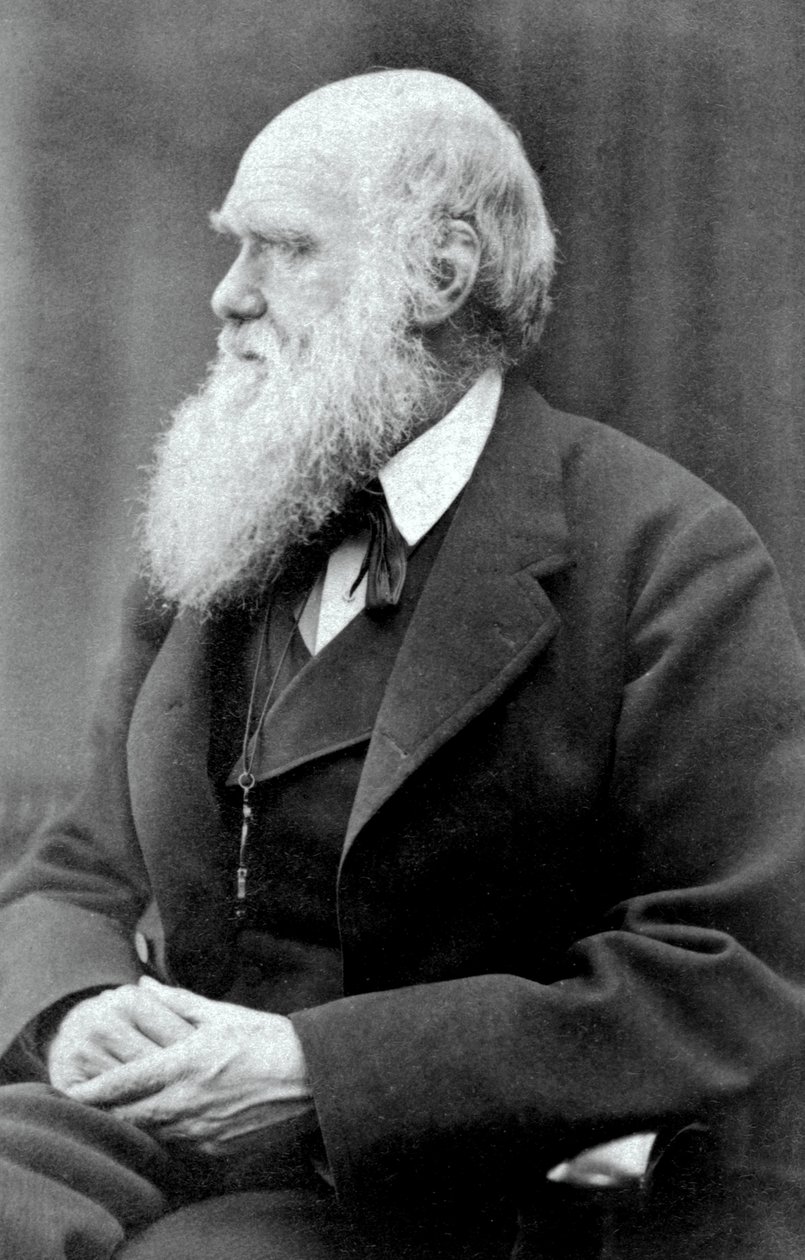 Charles Darwin, 1875 av Oscar Gustav Rejlander