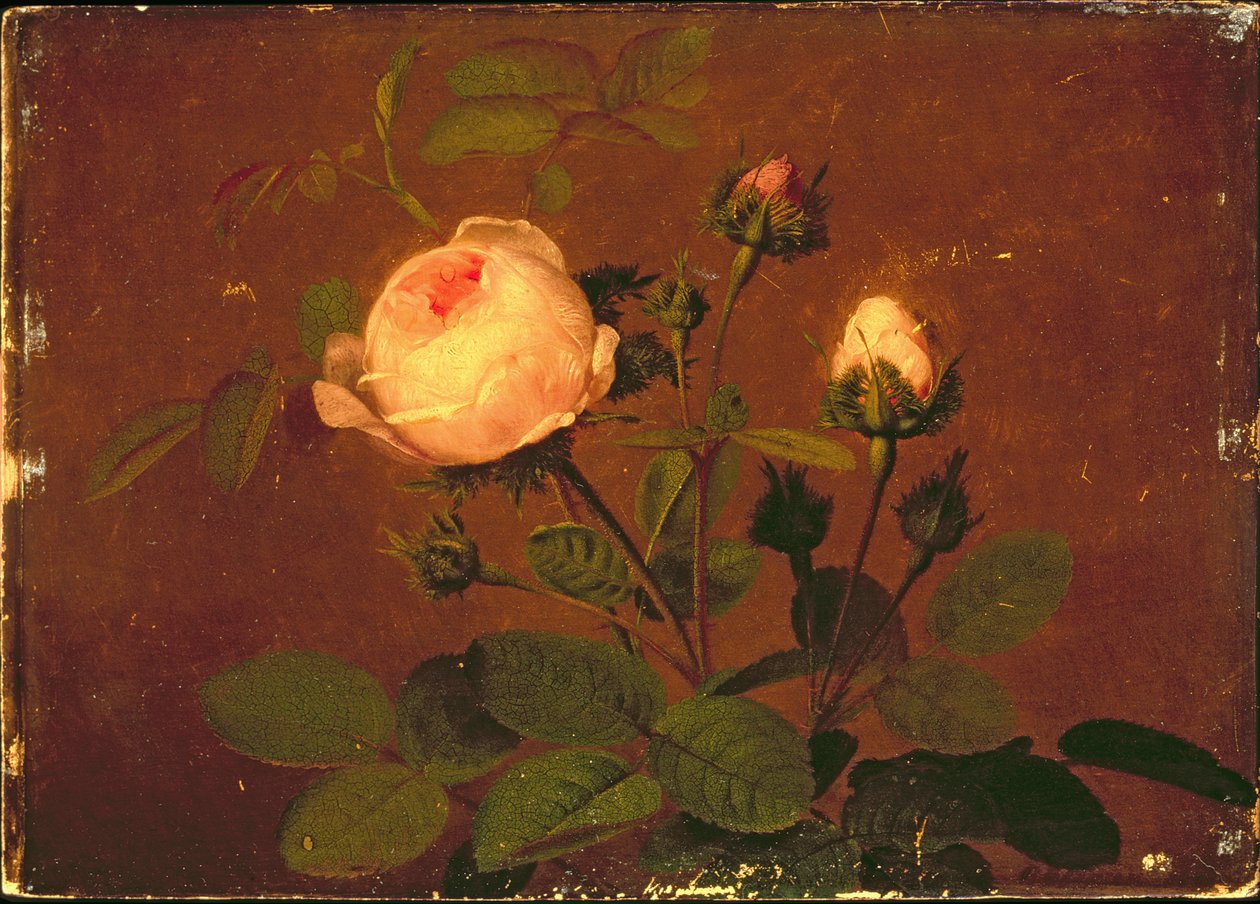 Rosor, rosor av Otto Didrik Ottesen