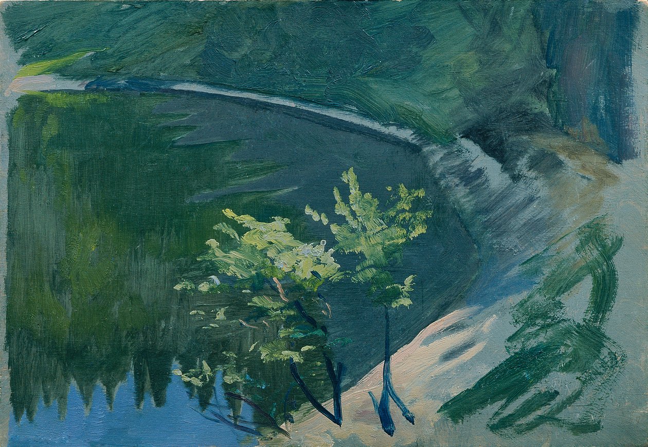 Sjön hörn vid Berghof av Otto Friedrich