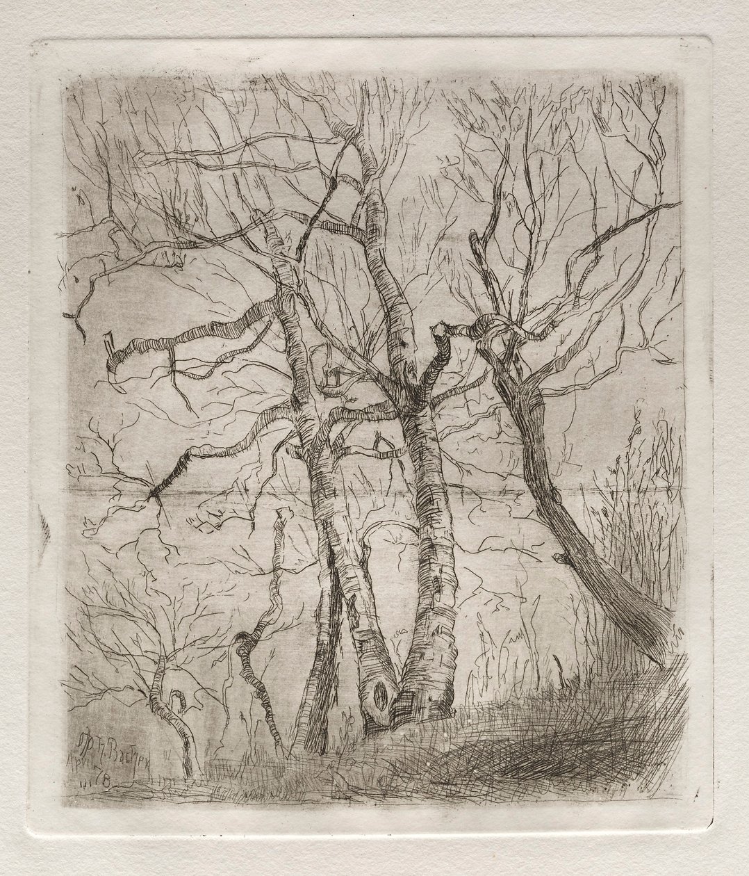 Träd, 1878. av Otto H. Bacher