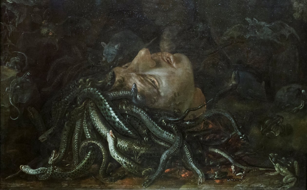 Chef för Medusa av Otto Marseus  van Schrieck